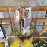 Chez Lily Et Fred * Chalons-en-Champagne