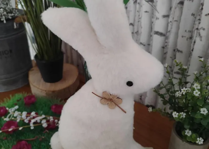 Chez Lily Et Fred * Châlons-en-Champagne